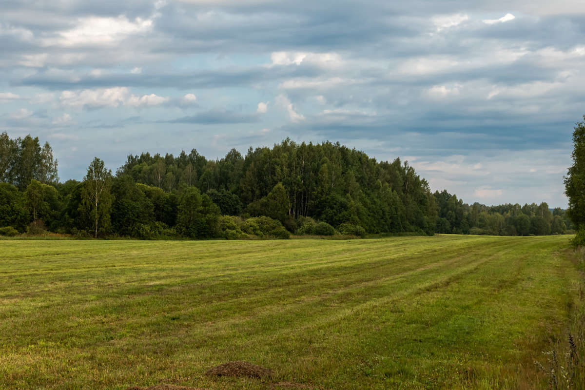 ����� � ���� ����� ���������  �� PhotoGeek.ru #������ ��� �������