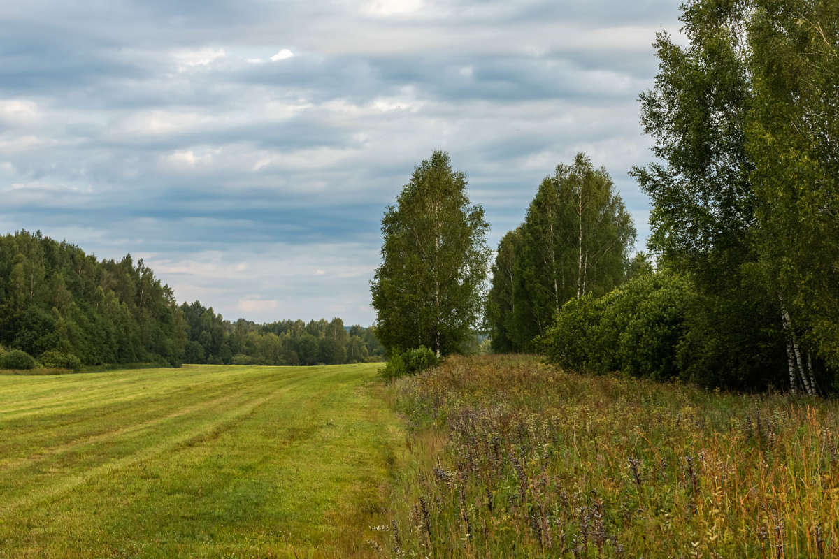 �� ���� ���� ����� ���������  �� PhotoGeek.ru #������ ��� �������