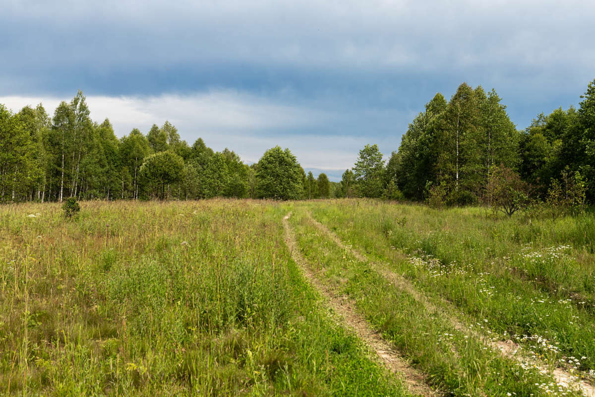 ����� ��� � �� ���� ����� ���������  �� PhotoGeek.ru #������ ��� �������