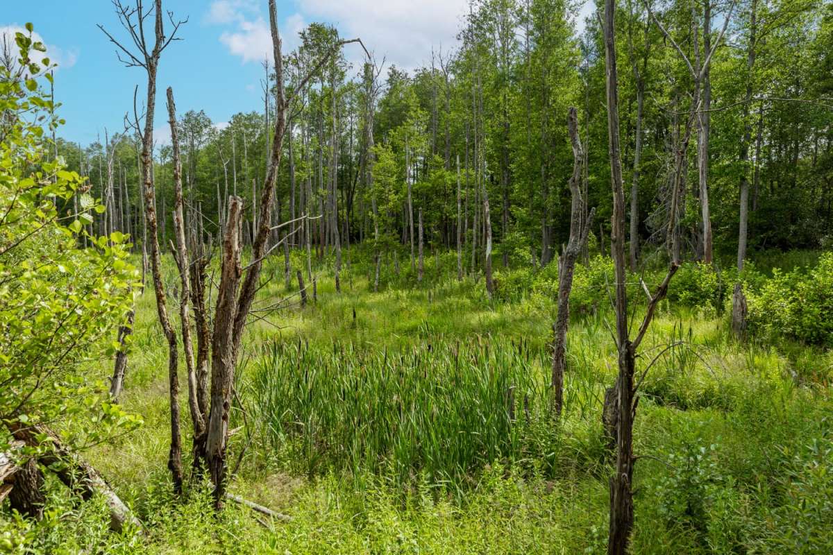 ������ ����� ���������  �� PhotoGeek.ru #������ ��� �������