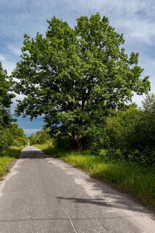 ������ ��� � ������ ����� ���������  �� PhotoGeek.ru #������ ��� �������