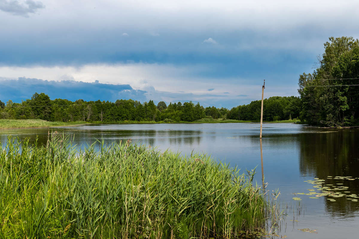 � �������� ����� ����� ���������  �� PhotoGeek.ru #������ ��� �������