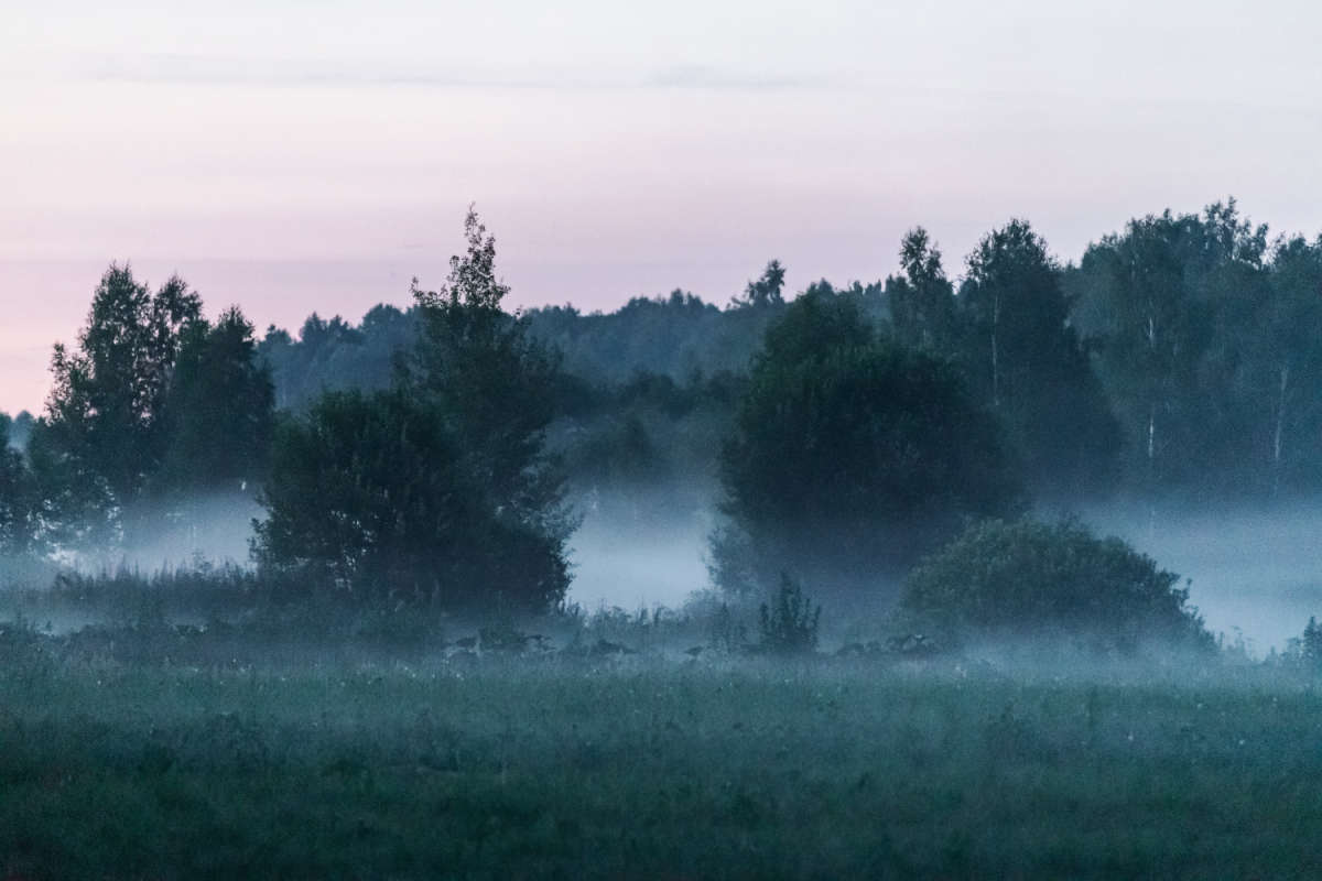 ����� ����� ���������  �� PhotoGeek.ru #������ ��� �������