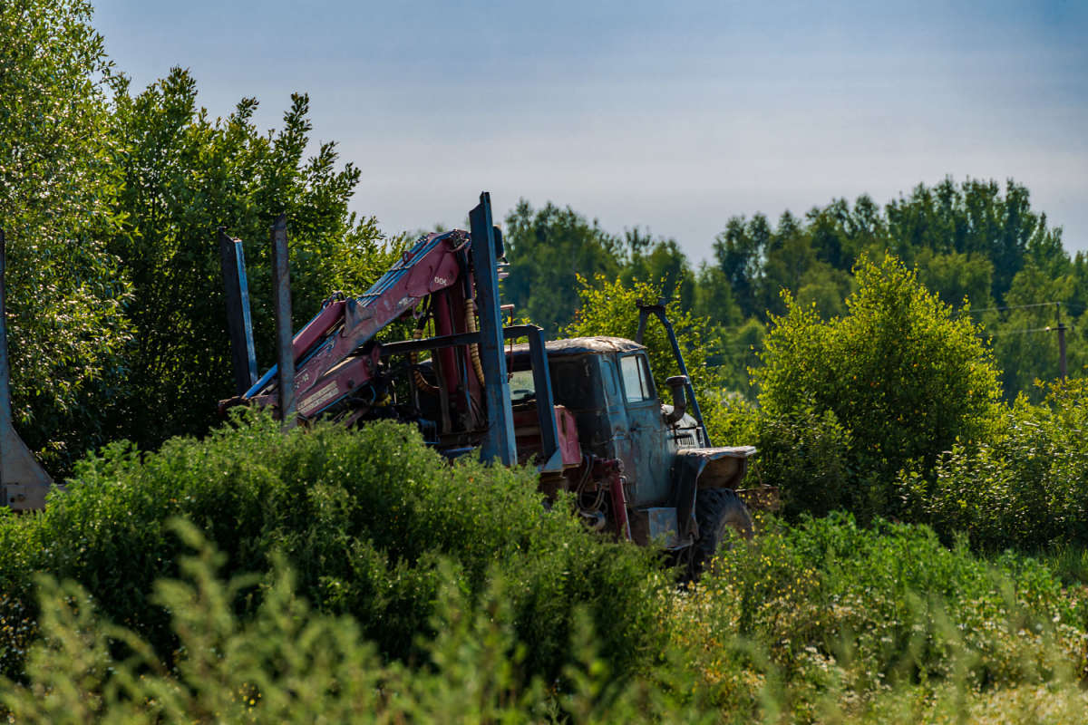 ������� ����� ���������  �� PhotoGeek.ru #���������