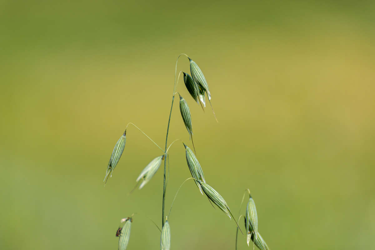 ��� ����� ���������  �� PhotoGeek.ru #������ ��� �������