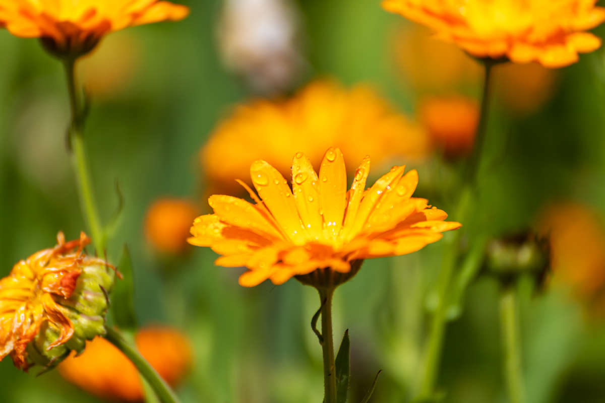 �������� ����� ���������  �� PhotoGeek.ru #������ ��� �������