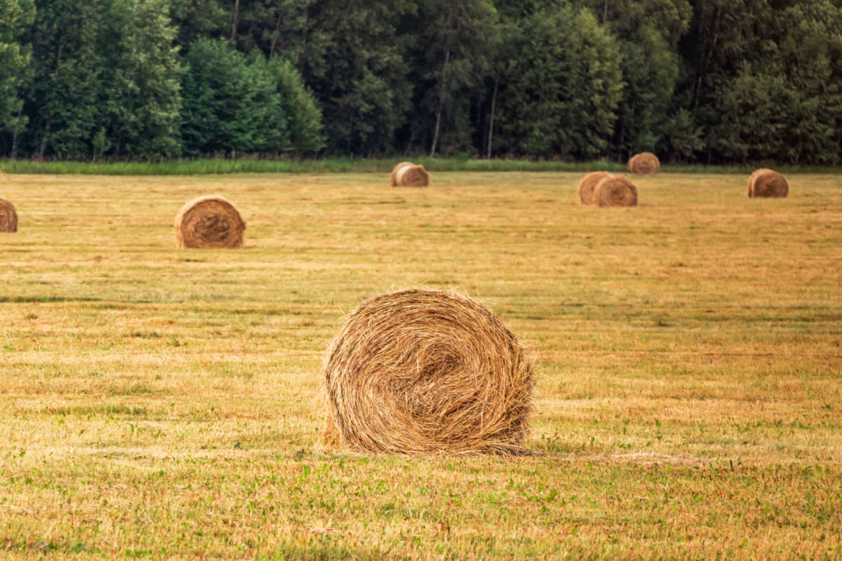 ���� ����� ���������  �� PhotoGeek.ru #������ ��� �������