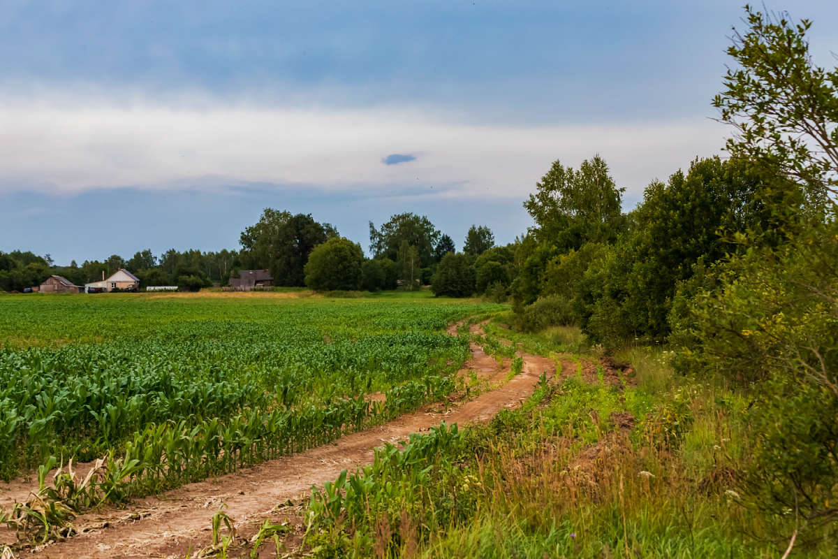 � ������� ����� ���������  �� PhotoGeek.ru #������ ��� �������