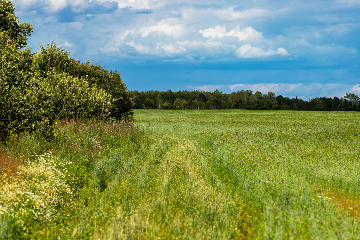 �� ���� ���� ����� ���������  �� PhotoGeek.ru #������ ��� �������