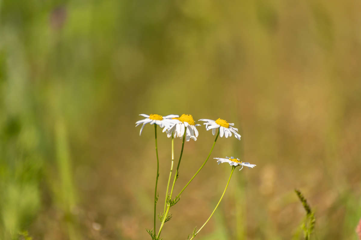 ������� ����� ���������  �� PhotoGeek.ru #������ ��� �������