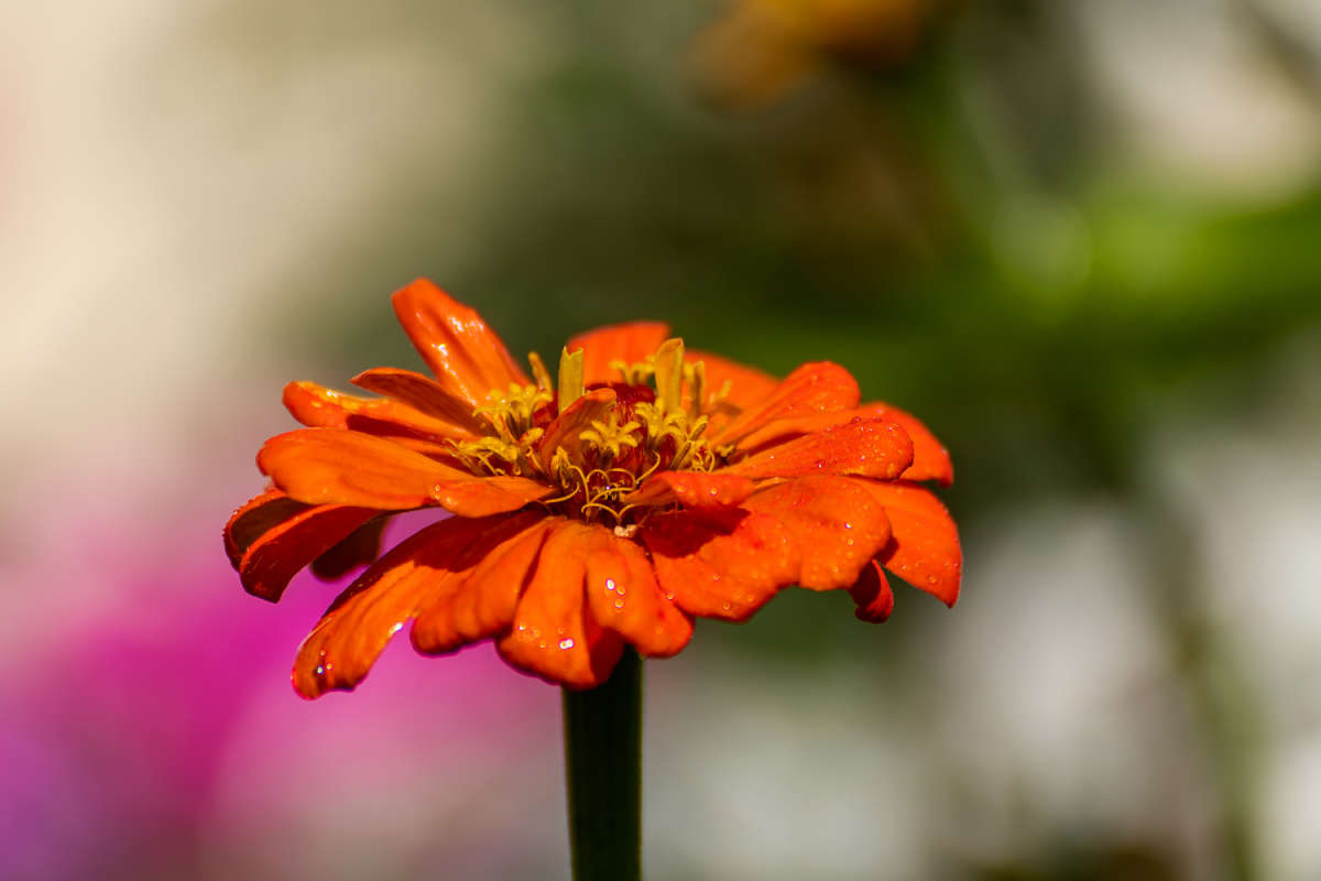 �������� ����� ���������  �� PhotoGeek.ru #������ ��� �������