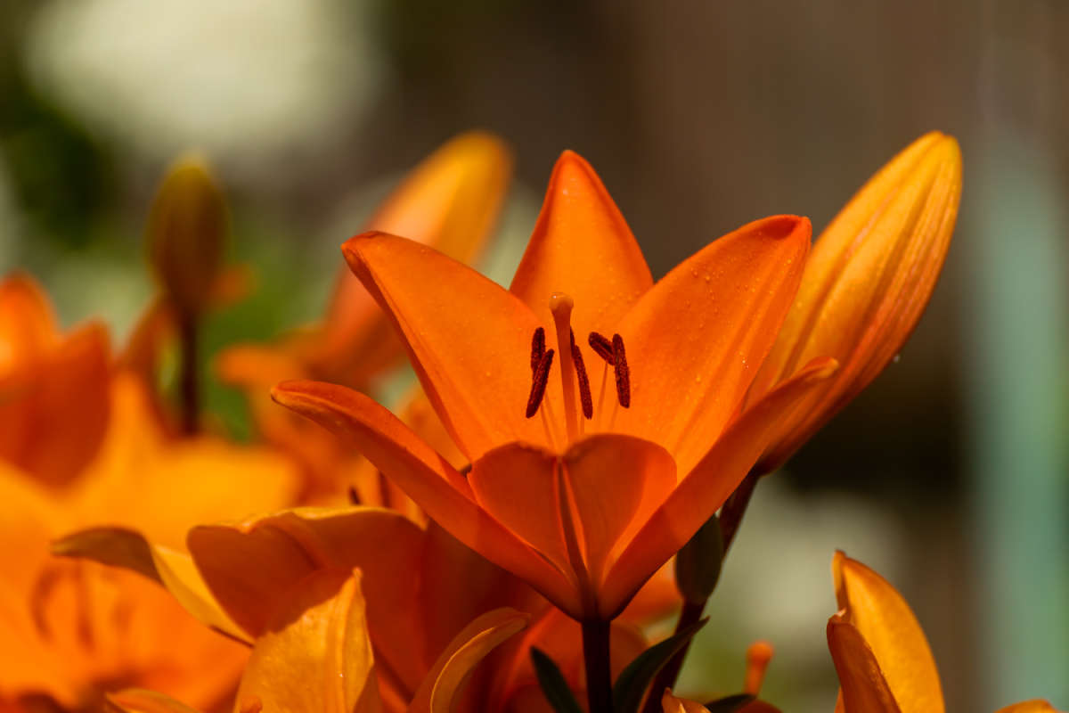 ������ ����� ���������  �� PhotoGeek.ru #������ ��� �������