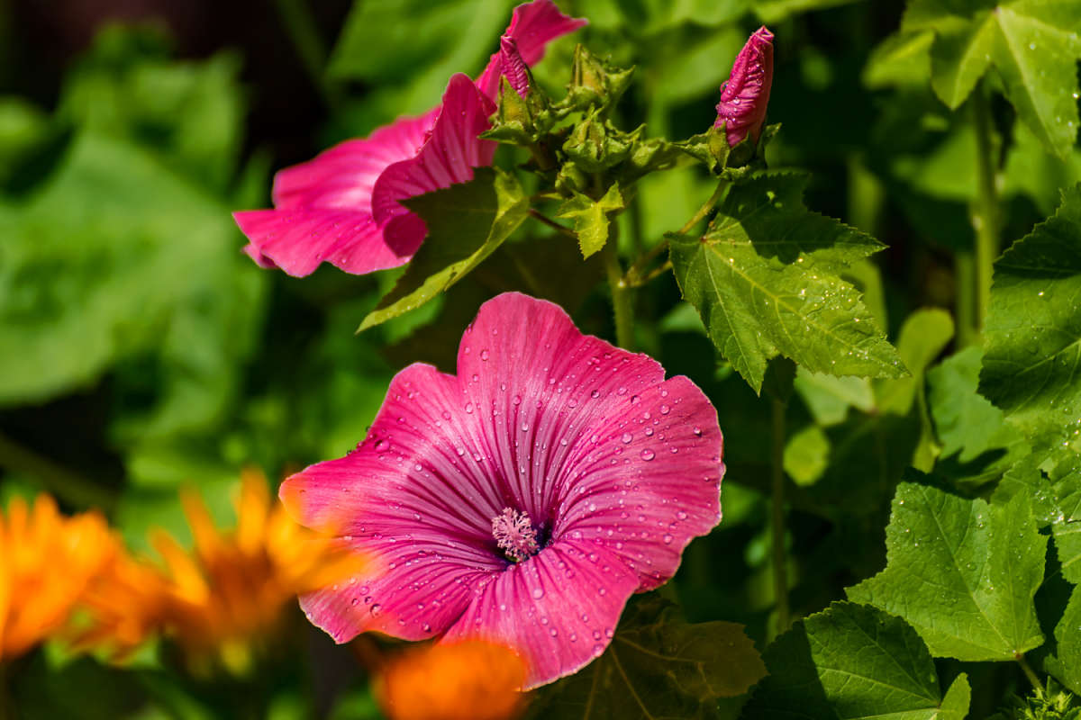 �������� ����� ���������  �� PhotoGeek.ru #������ ��� �������