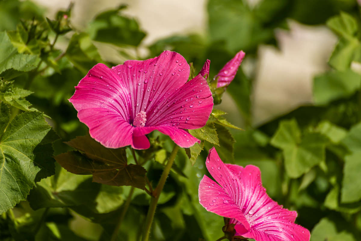 � ���������� ����� ���������  �� PhotoGeek.ru #������ ��� �������