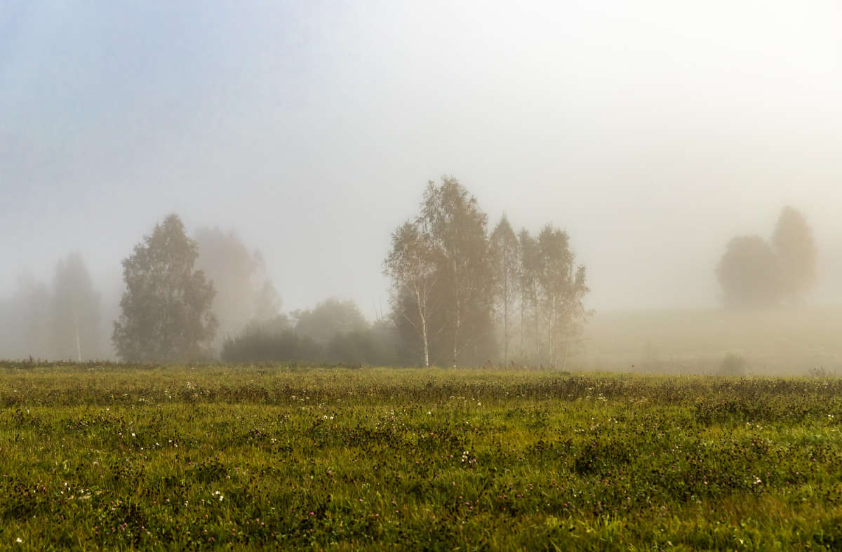 � �������� ����� ���������  �� PhotoGeek.ru #������ ��� �������