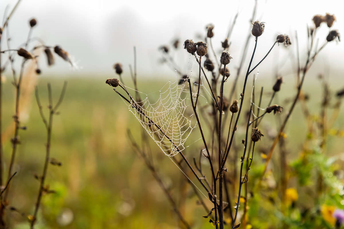 ����� ����� ���������  �� PhotoGeek.ru #������ ��� �������