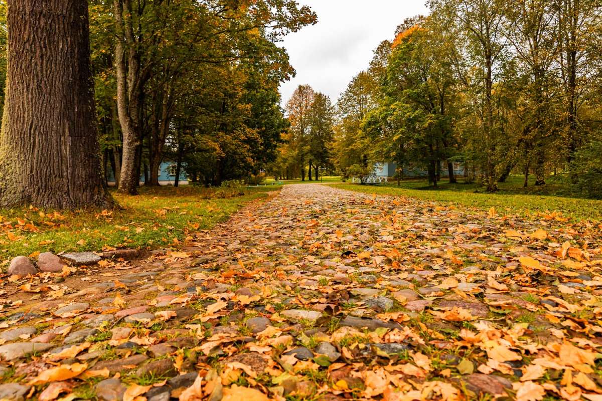 � �����. ������������. ����� ���������  �� PhotoGeek.ru #������ ��� �������