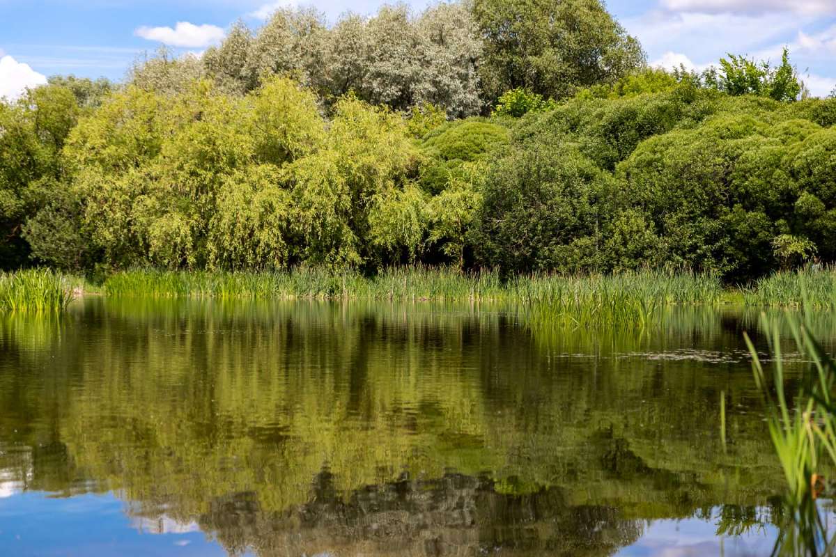 ������ ����� ���������  �� PhotoGeek.ru #������ ��� �������