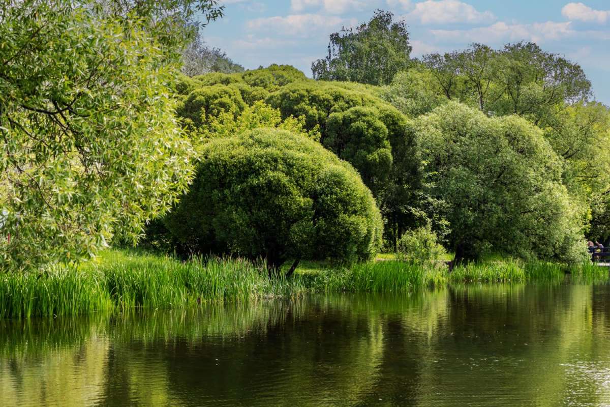 ����� ����� ����� ���������  �� PhotoGeek.ru #������ ��� �������