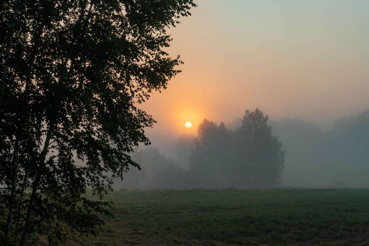 ����� ����� ���������  �� PhotoGeek.ru #������ ��� �������