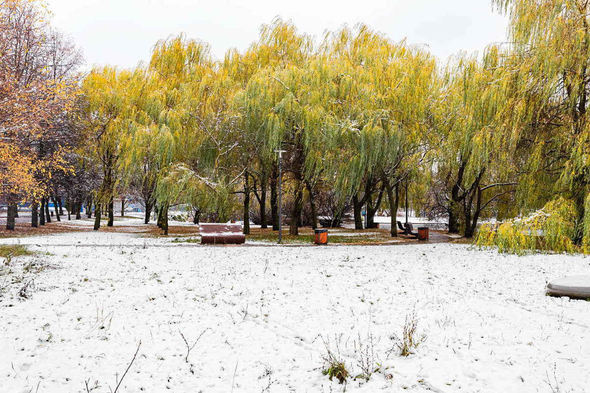 � ����� ����� ���������  �� PhotoGeek.ru #����� #������ ��� �������