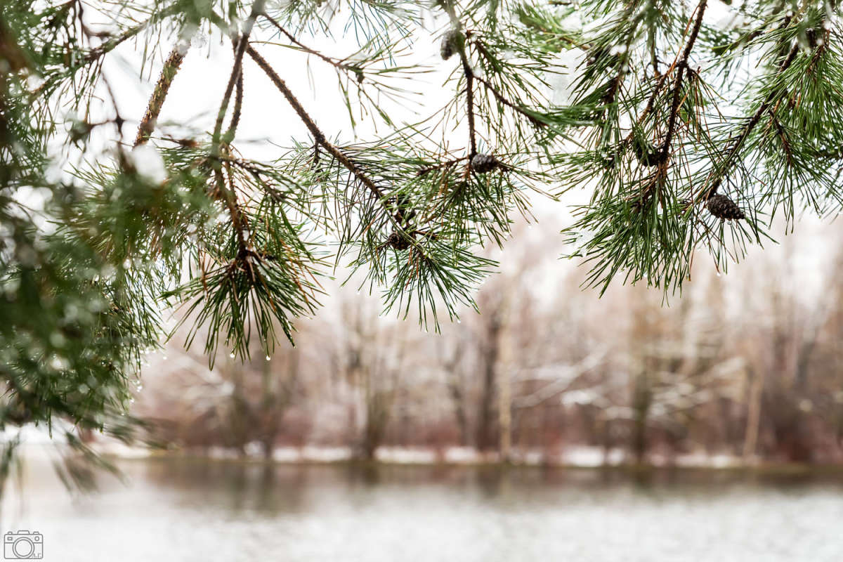 ������ ����� ���������  �� PhotoGeek.ru #������ ��� �������