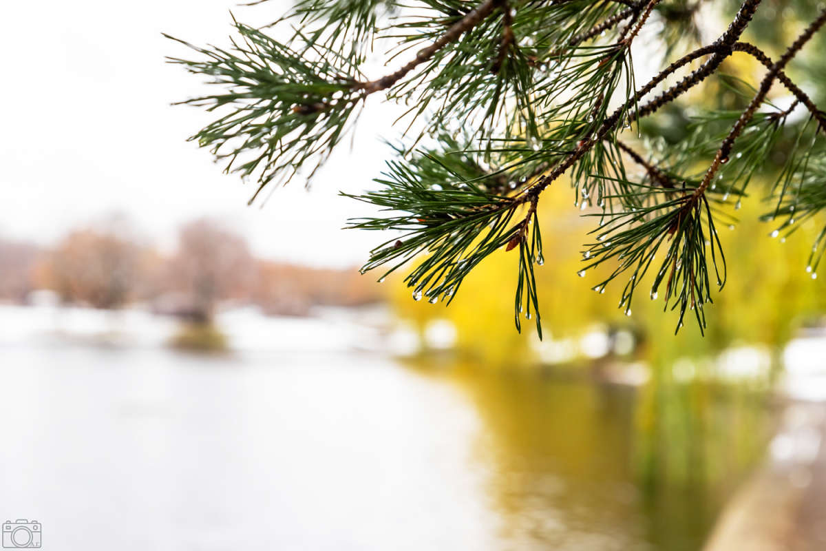 �������� ����� ���������  �� PhotoGeek.ru #������ ��� �������