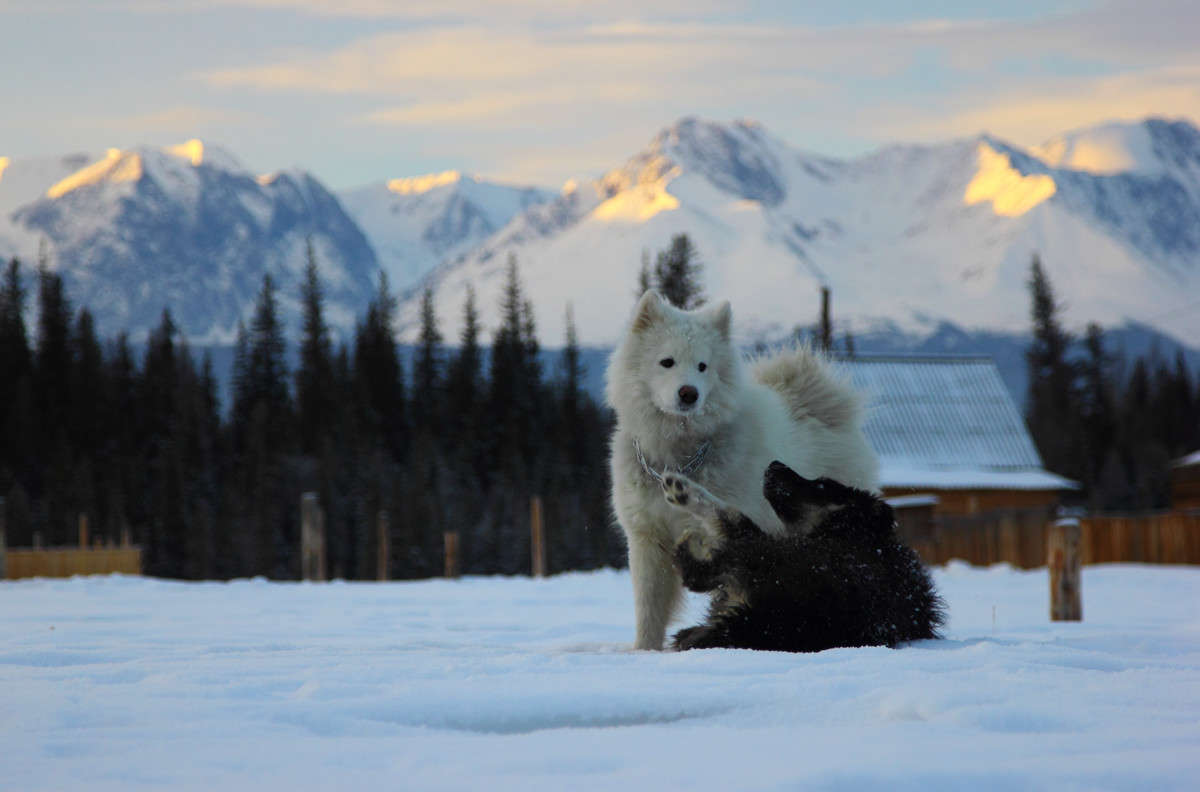 ��������� ����� �������  �� PhotoGeek.ru #������ ��� �������