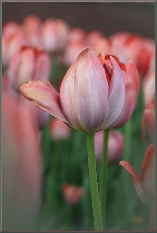 ... ����� �������  �� PhotoGeek.ru #������ ��� ������� #����� ��������������