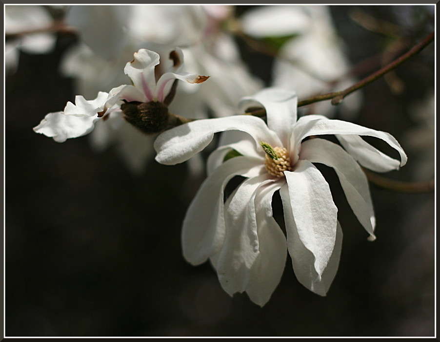 ... ����� �������  �� PhotoGeek.ru #������ ��� ������� #����� ��������������