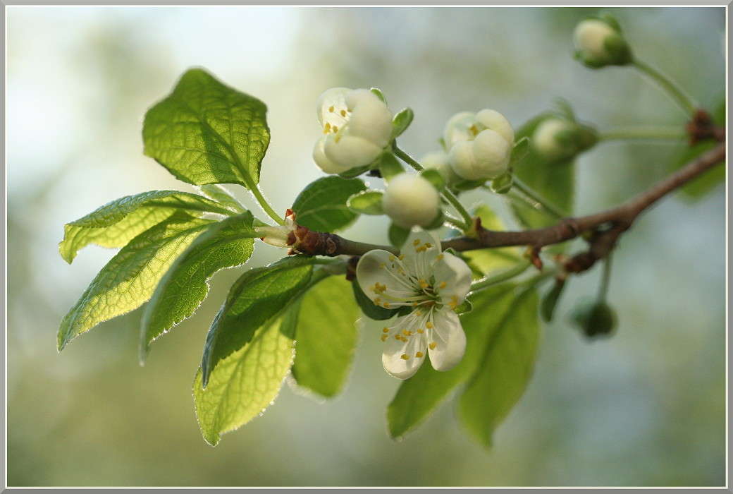 ... ����� �������  �� PhotoGeek.ru #������ ��� ������� #����� ��������������