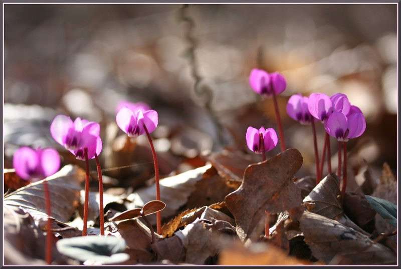 ���������� ����� �������  �� PhotoGeek.ru #������ ��� ������� #����� ��������������