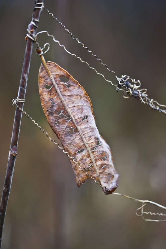 ������� ����� ����� �������  �� PhotoGeek.ru #������ ��� ������� #����� ��������������