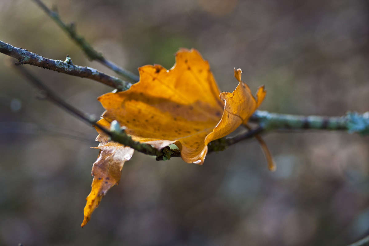 � ����� �� ����� ����� �������  �� PhotoGeek.ru #������ ��� ������� #����� �������������� #���������