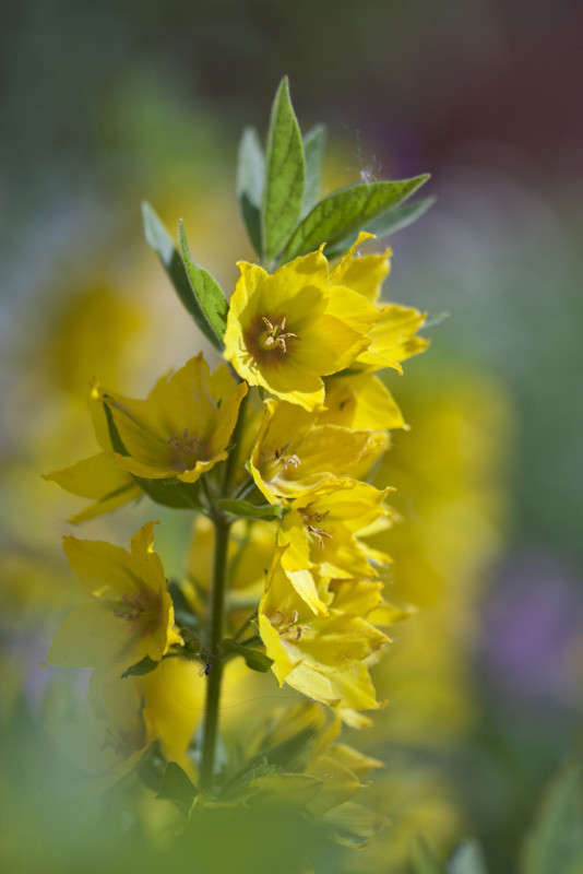 ������������ � ������ ���� ����� �������  �� PhotoGeek.ru #������ ��� ������� #����� ��������������