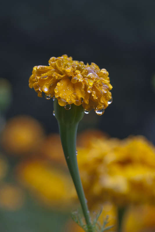 ����� ����� ����� �������  �� PhotoGeek.ru #������ ��� ������� #����� ��������������