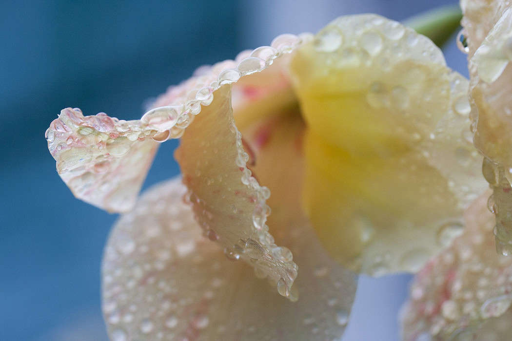 �������� ����� �������  �� PhotoGeek.ru #������ ��� ������� #����� ��������������