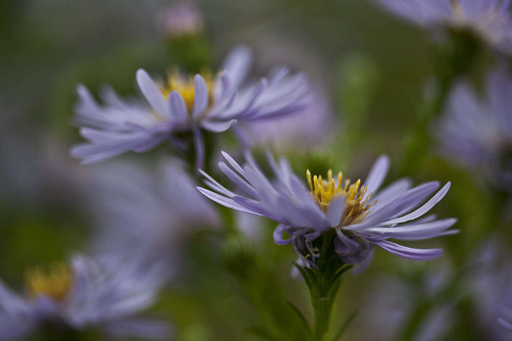 �������� ����� �������  �� PhotoGeek.ru #������ ��� ������� #����� ��������������