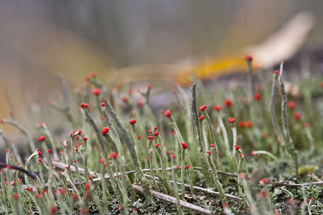 ���� ���� ����� �������  �� PhotoGeek.ru #����� #������ ��� ������� #����� ��������������