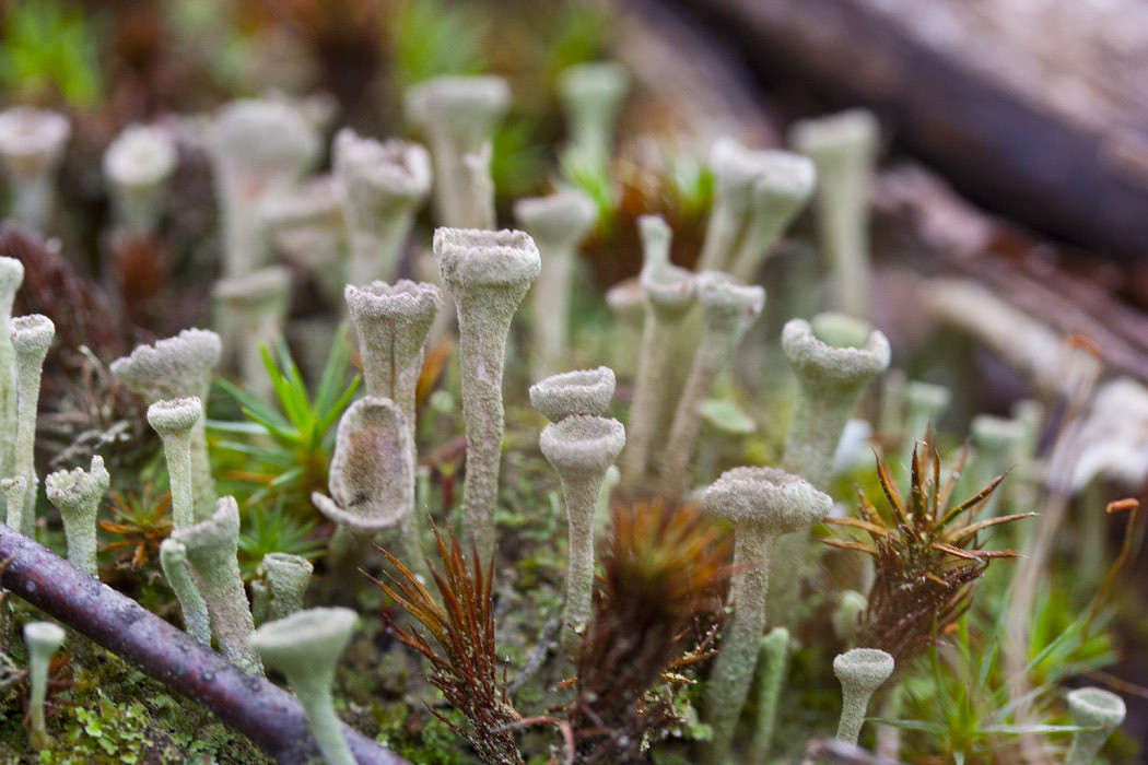 ��� ������ ��� ����� �������  �� PhotoGeek.ru #����� #������ ��� ������� #����� ��������������