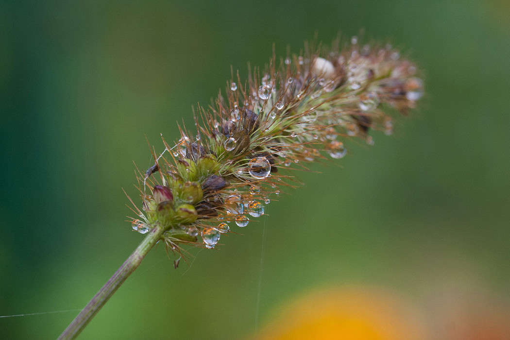 ����� � ���� ����� �������  �� PhotoGeek.ru #������ ��� ������� #����� ��������������