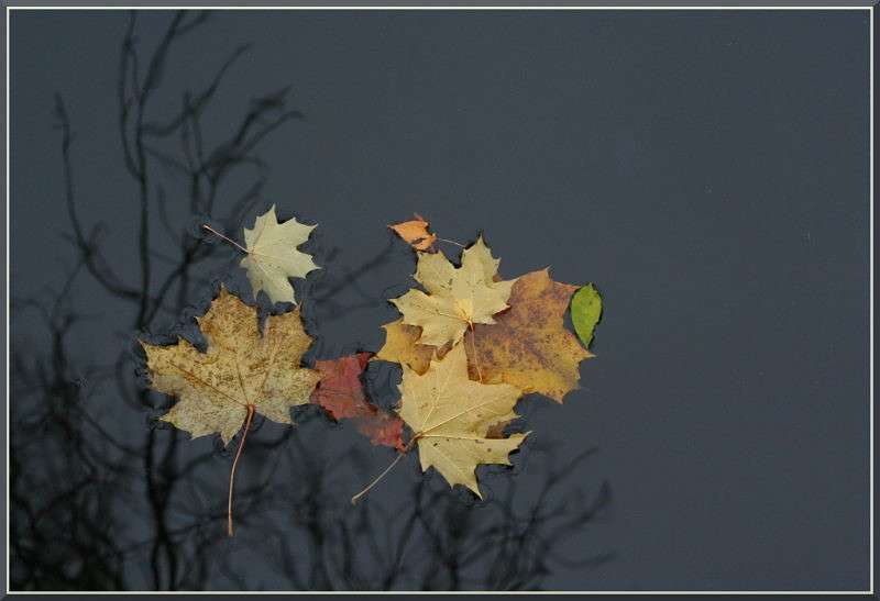 ������ �� ���� ����� �������  �� PhotoGeek.ru #������ ��� �������