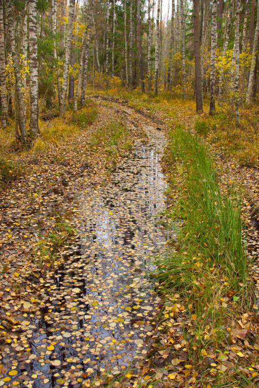 ����� � ���� ����� �������  �� PhotoGeek.ru #������ ��� �������