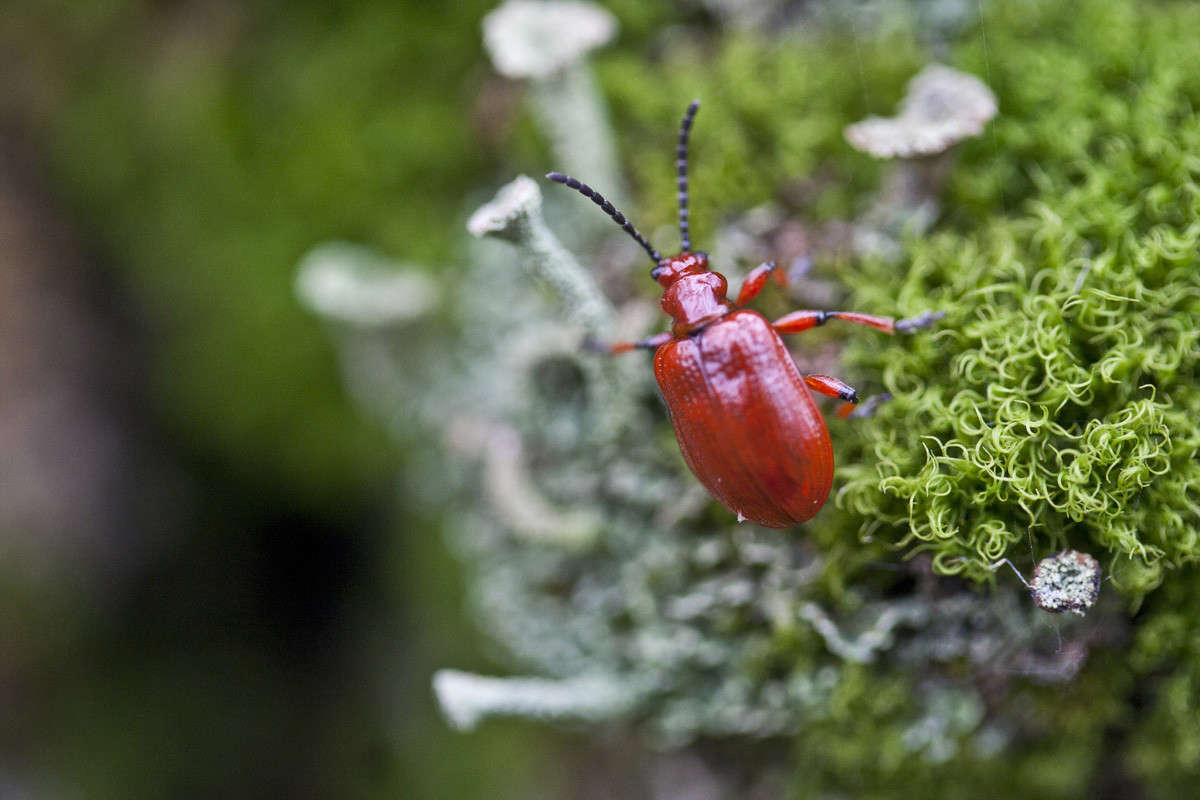 �������� ����� �������  �� PhotoGeek.ru #����� #�������� ��� #������ ��� �������