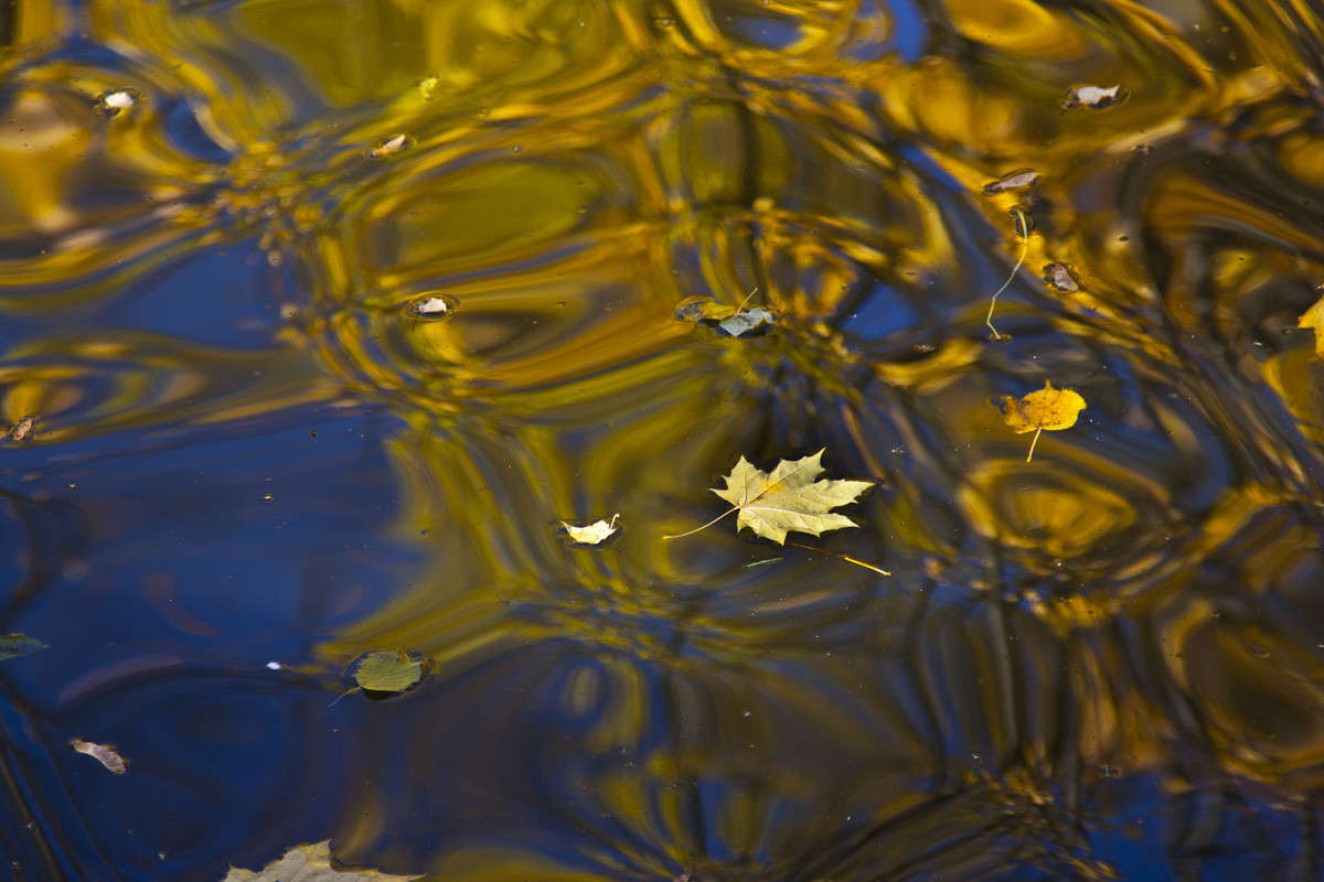 ��� ����� ����� ����� �������  �� PhotoGeek.ru #������ ��� ������� #���������