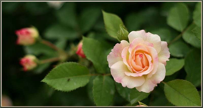 �������� ������ ����� �������  �� PhotoGeek.ru #������ ��� ������� #����� ��������������