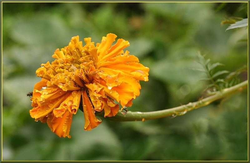 ����� �������� ����� ����� �������  �� PhotoGeek.ru #������ ��� ������� #����� ��������������