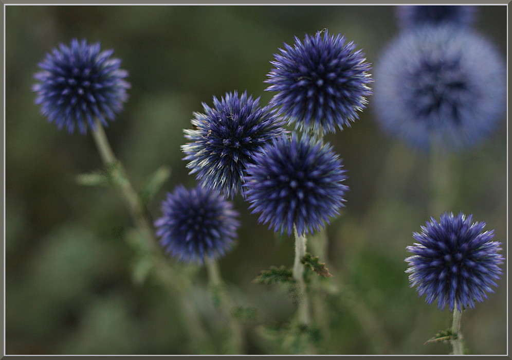 ����� ���� ����� �������  �� PhotoGeek.ru #������ ��� ������� #����� ��������������