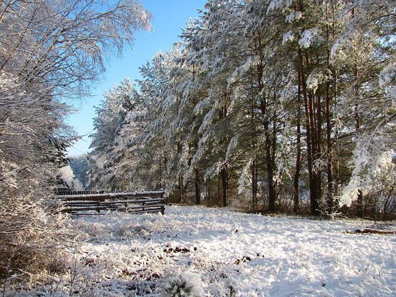 ������ ���� ����� �������  �� PhotoGeek.ru #������ ��� �������