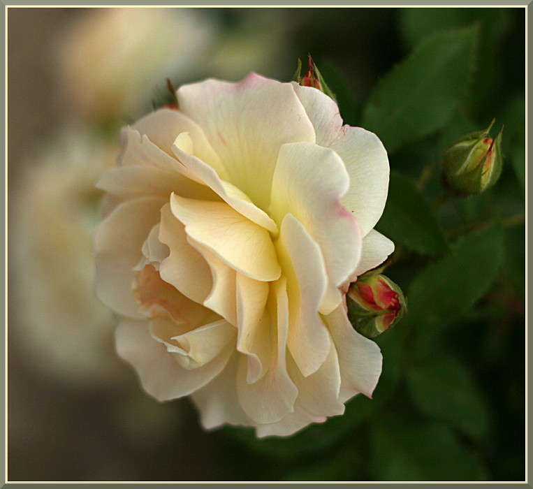 �������� ����� �������  �� PhotoGeek.ru #������ ��� ������� #����� ��������������